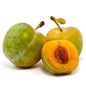 Ciruela Verde