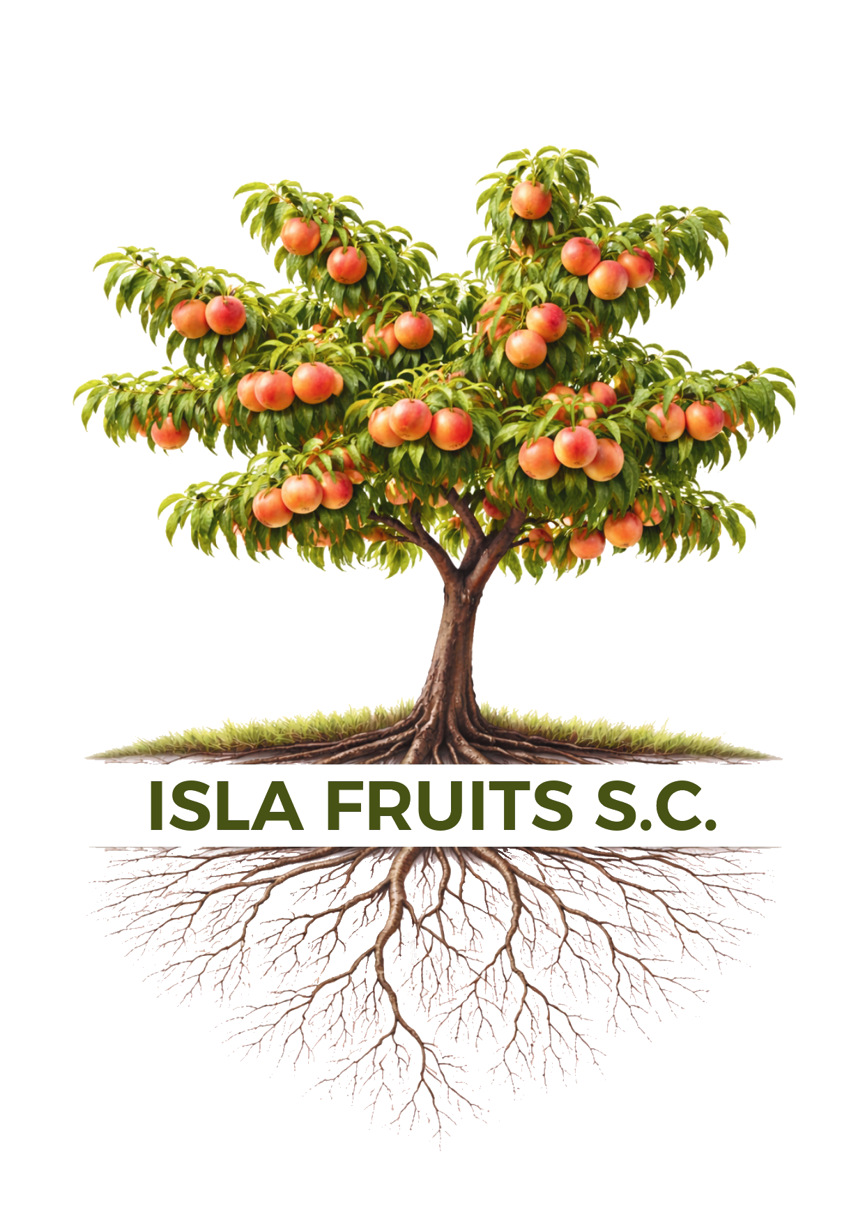 Isla Fruits